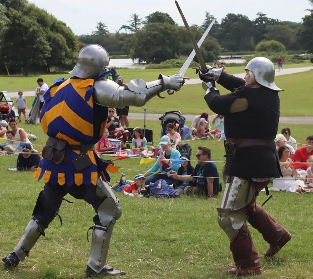 knights fighting